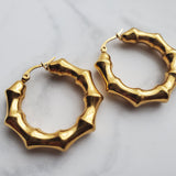 Renisha Hoops