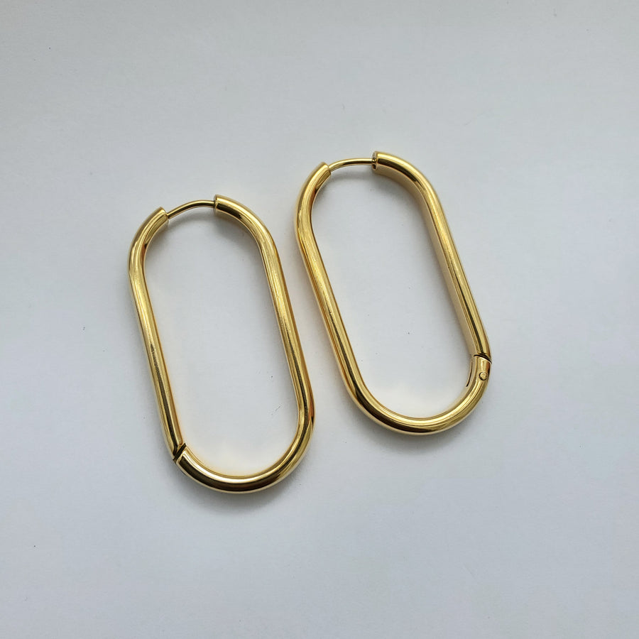 Dion Hoops