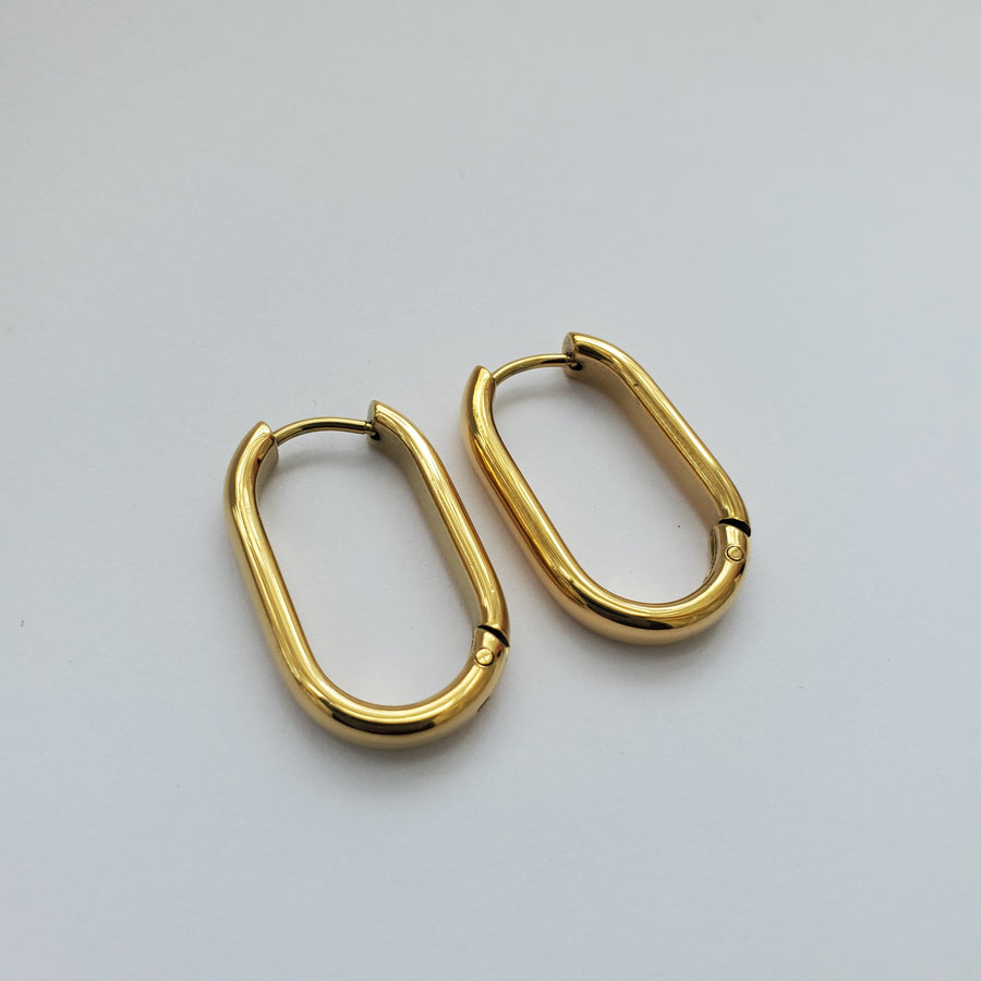 Dion Hoops