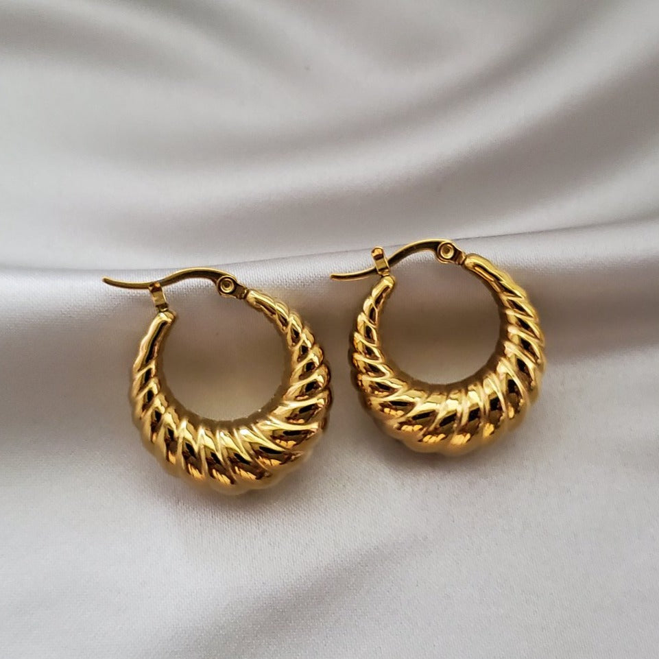Tianna Criossant Earrings - Iṣura