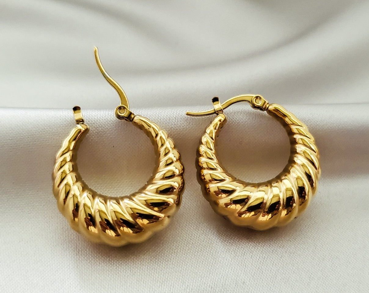 Tianna Criossant Earrings - Iṣura